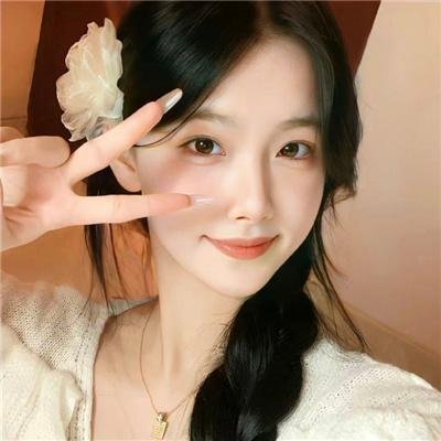 精灵宝可梦：比克提尼与白之英雄莱希拉姆